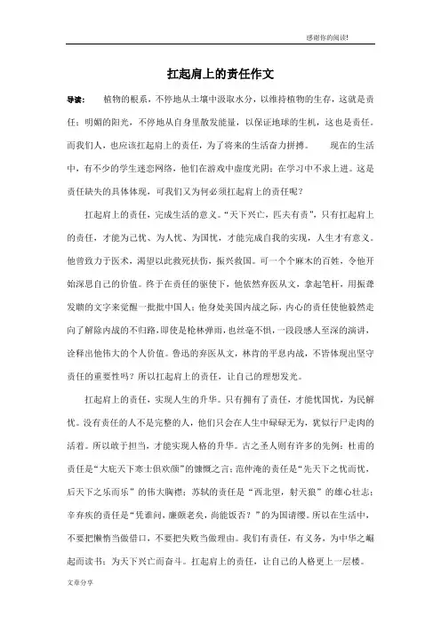 扛起肩上的责任作文