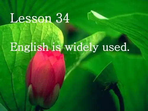 初三英语下学期-lesson-34