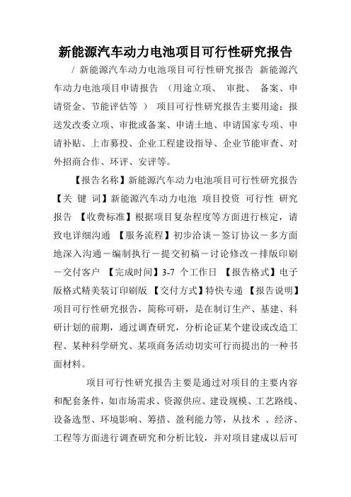 新能源汽车动力电池项目可行性研究报告.doc