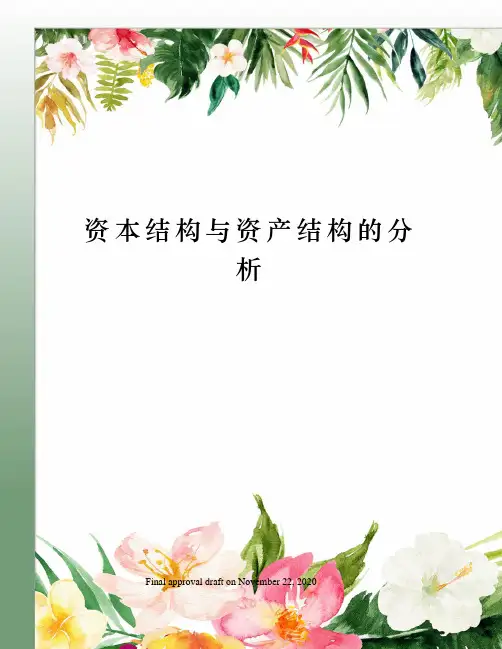 资本结构与资产结构的分析