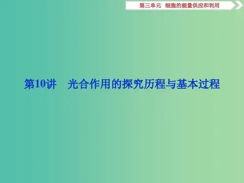 2019届高考生物一轮复习第三单元细胞的能量供应和利用第10讲光合作用的探究历程与基本过程课件