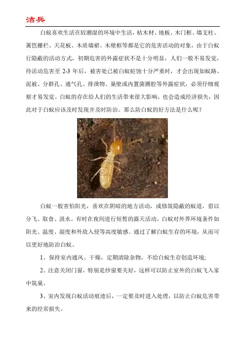 消灭白蚁简单有效方法