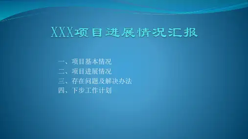项目进展情况汇报模板