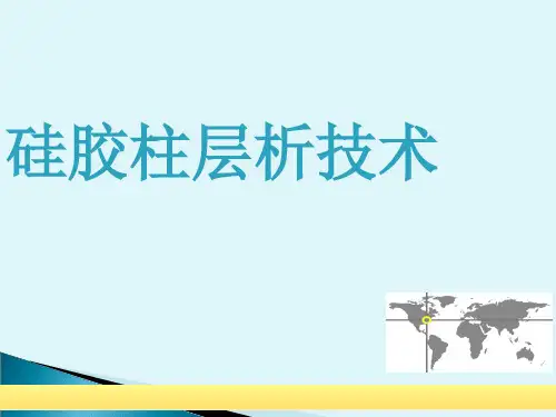 硅胶柱层析技术