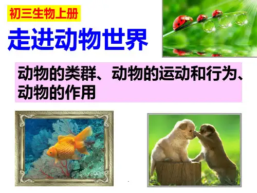 第一节腔肠动物和扁形动物PPT课件