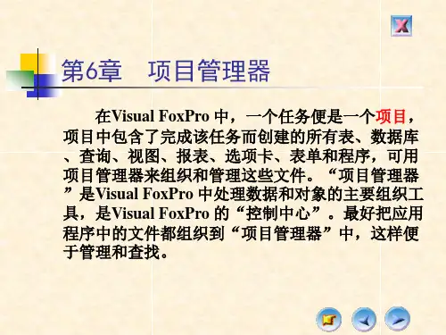 VF数据库第6章 项目管理器