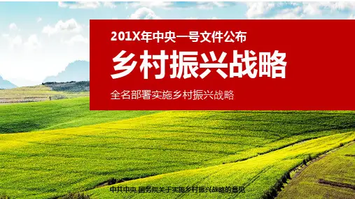 实用中央一号文件乡村振兴战略解读PPT模板