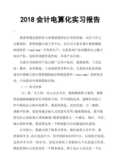 2018会计电算化实习报告