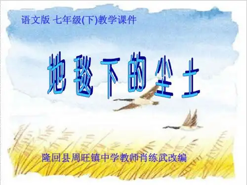 《地毯下的尘土》课件