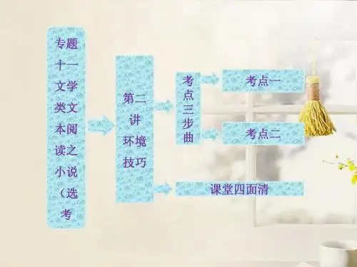 2013届高考语文总复习资料 专题十一 第二讲 环境技巧课件