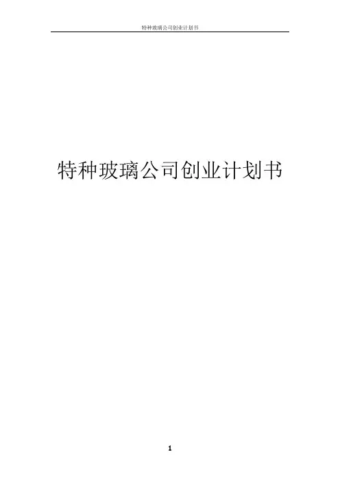 特种玻璃公司创业计划书