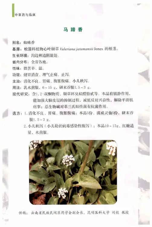 马蹄香