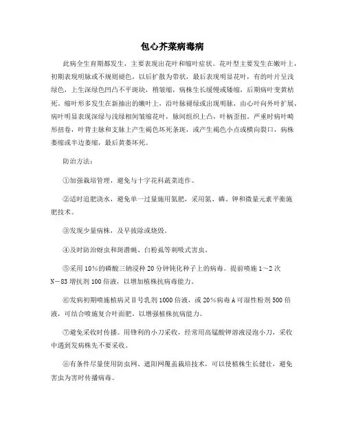 包心芥菜病毒病
