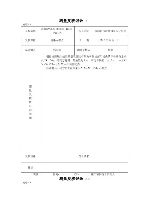 测量复核记录表