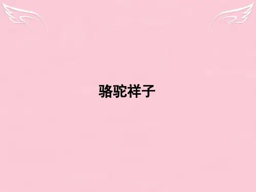 高中语文第8单元人在都市16骆驼祥子课件新人教选修中国小说欣赏