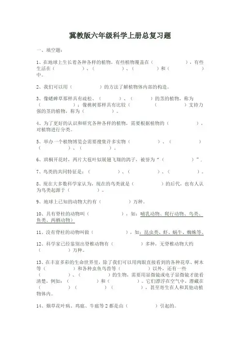 冀教版六年级科学上册总复习题