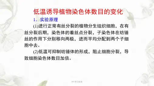 低温诱导植物染色体数目的变化课件
