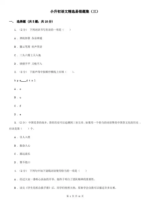 小升初语文精选易错题集(三)