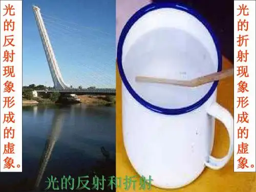 九年级科学光的反射和折射复习