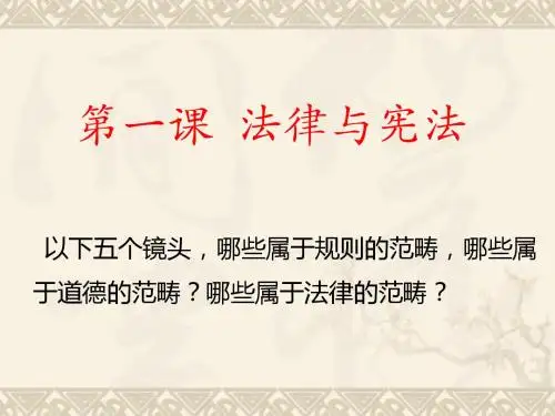 法律与宪法