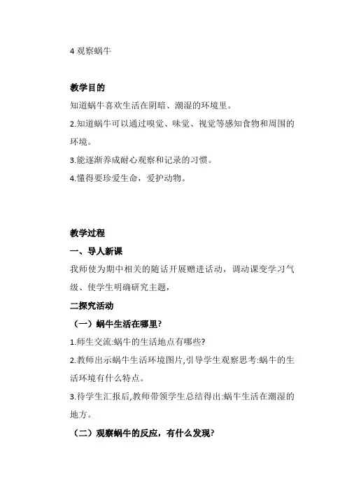 观察蜗牛