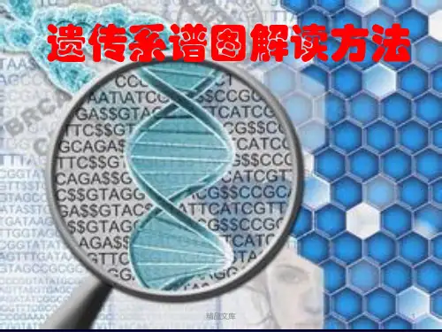 【创意版】遗传系谱图判断.ppt