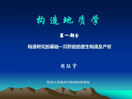 第1部分沉积岩的原生构造及产状