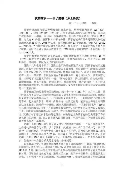 我的家乡(乡土历史)