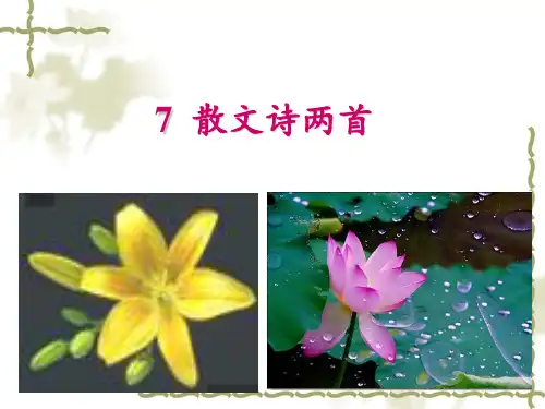 部编版《散文诗二首》PPT课件1