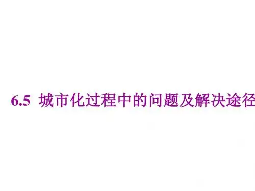 城市化过程中的问题及解决途径 PPT课件 通用
