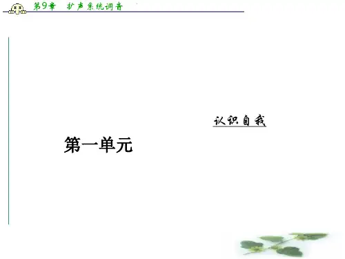 粤教语文必修1同步教学课件：1我很重要