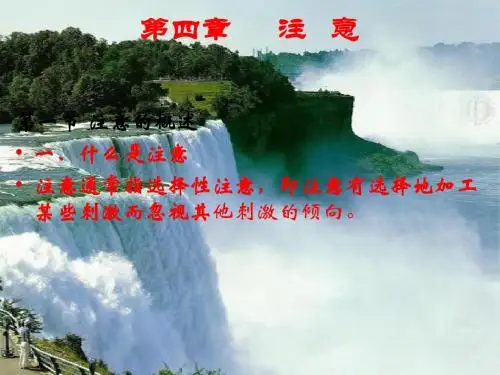 第四章注   意