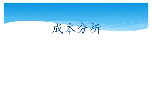 制造成本项目分析报告