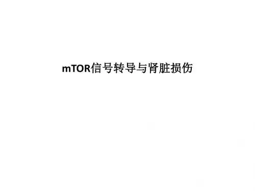 mTOR信号转导与肾脏损伤