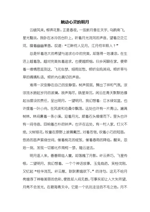 初一作文：什么触动了我的心灵作文800字