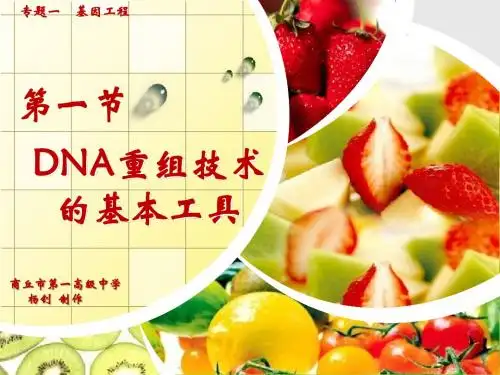高中生物选修三全套课件1.1 DNA重组技术的基本工具