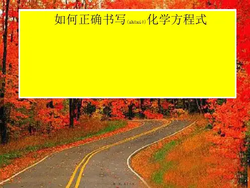 九年级化学上册第五单元化学方程式课题2如何正确书写化学方程式精品