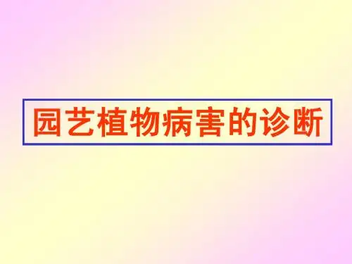 12园艺植物病害的诊断