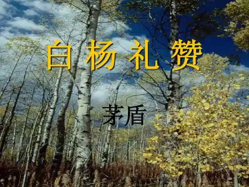 白杨礼赞第二课时(公开课典范)