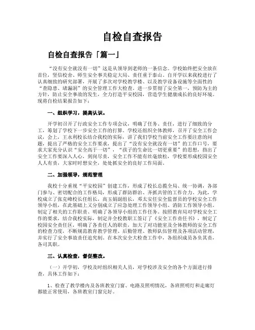 自检自查报告
