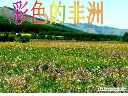 28 彩色的非洲 预习篇