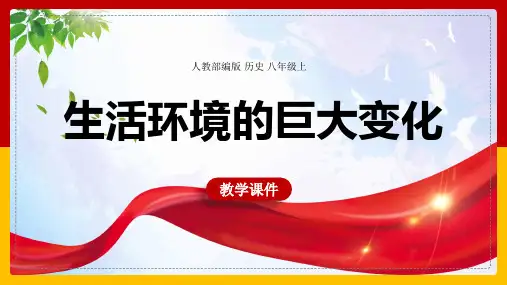 初中历史人教部编版八年级下册《第20课活动课生活环境的巨大变化》课件