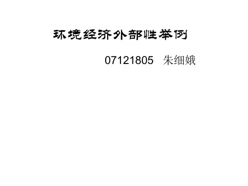 环境经济外部性举例