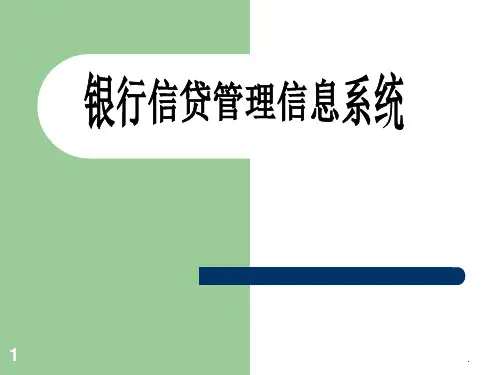 银行信贷管理信息系统PPT课件
