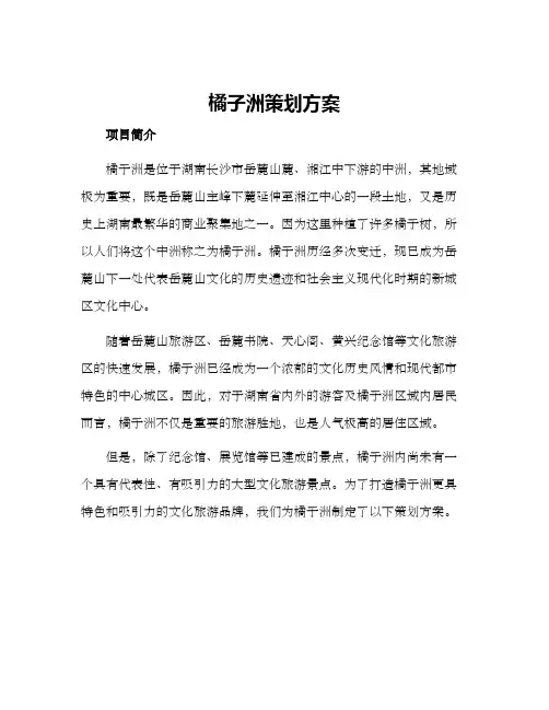 橘子洲策划方案