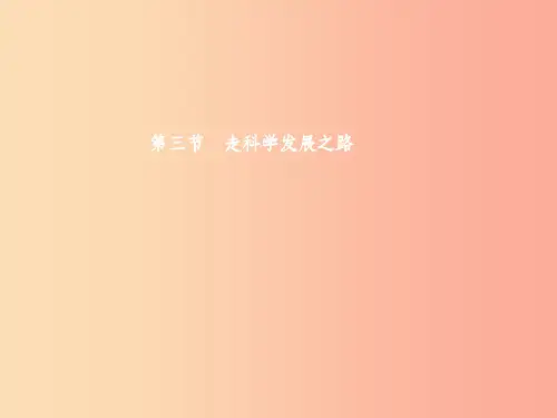 九年级政治全册 第二单元 关注自然 关注人类 第二节 我国的环境压力 第3框 环境污染与破坏课件 湘