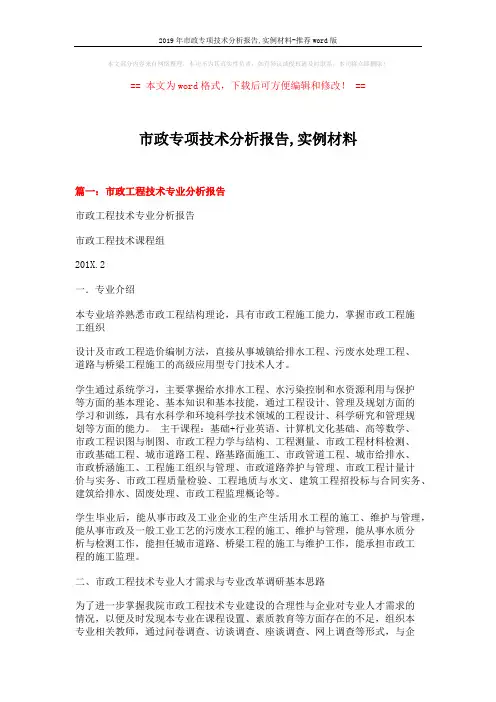 2019年市政专项技术分析报告,实例材料-推荐word版 (10页)