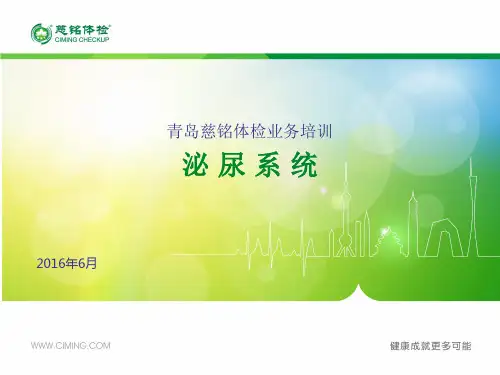 泌尿系统