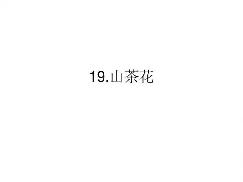 《山茶花》.ppt3
