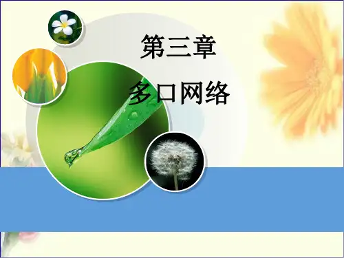 第三章 多口网络